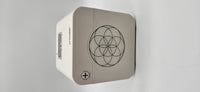 pHiCube positive +