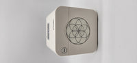 pHiCube negative -